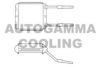 AUTOGAMMA 102453 Heat Exchanger, interior heating